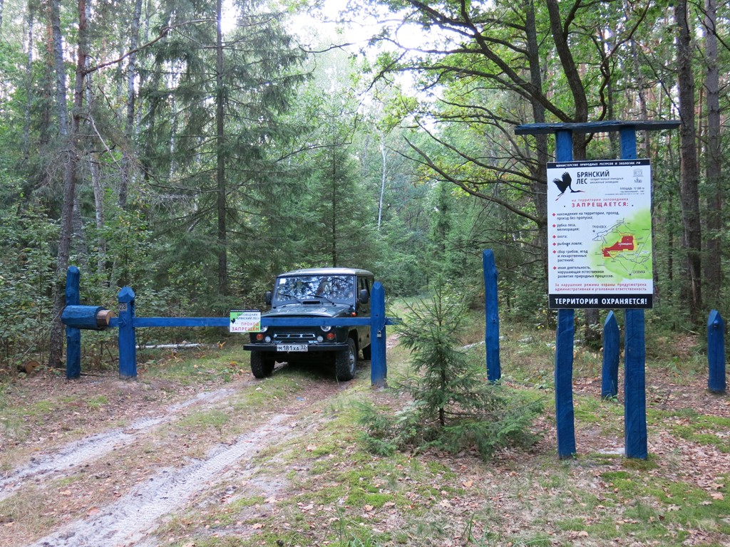 IMG_5783.JPG